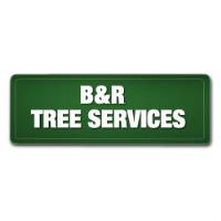 B & R Tree Services image 1
